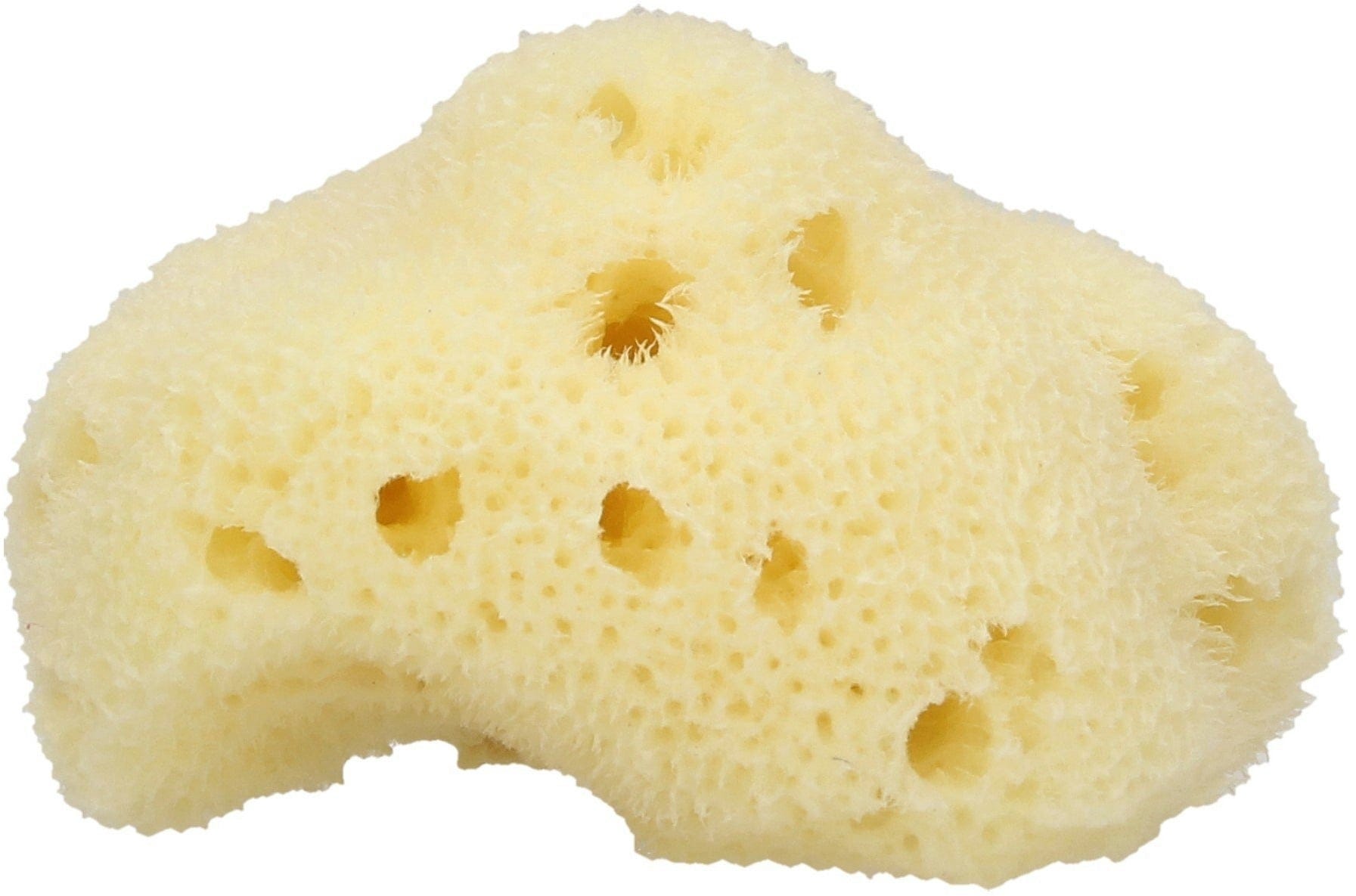 Cose della Natura  Le Coccolette Baby-Badeschwamm, medium