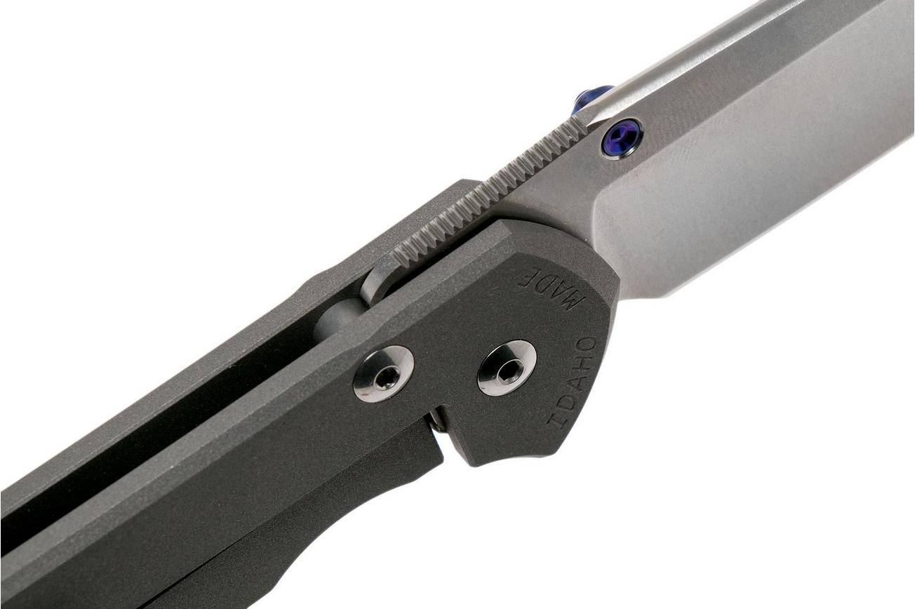 Chris Reeve Sebenza 31 Large Plain L31-1000 zakmes