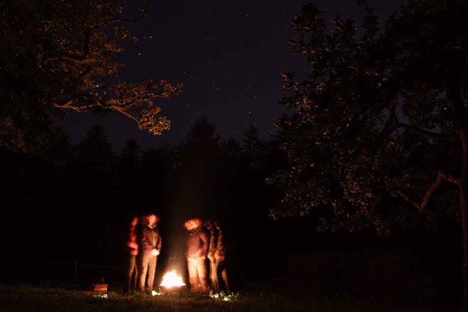 Wald Wanderung Straubenhardt