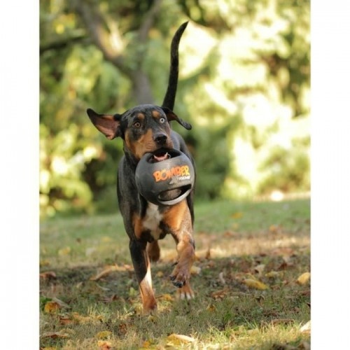 Bola de borracha preta e laranja Zeus mini Xtreme Bomber para cães
