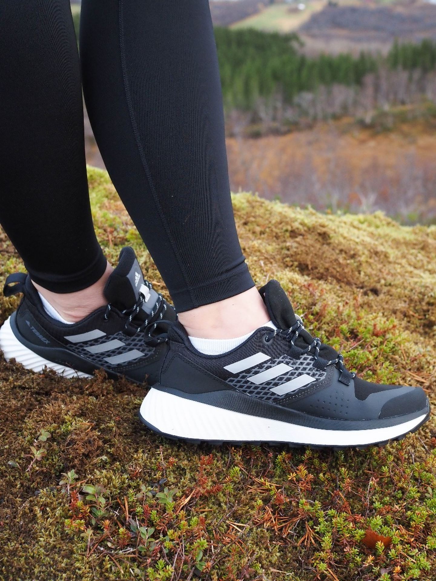 Terrex GoreTex Folgian Hike