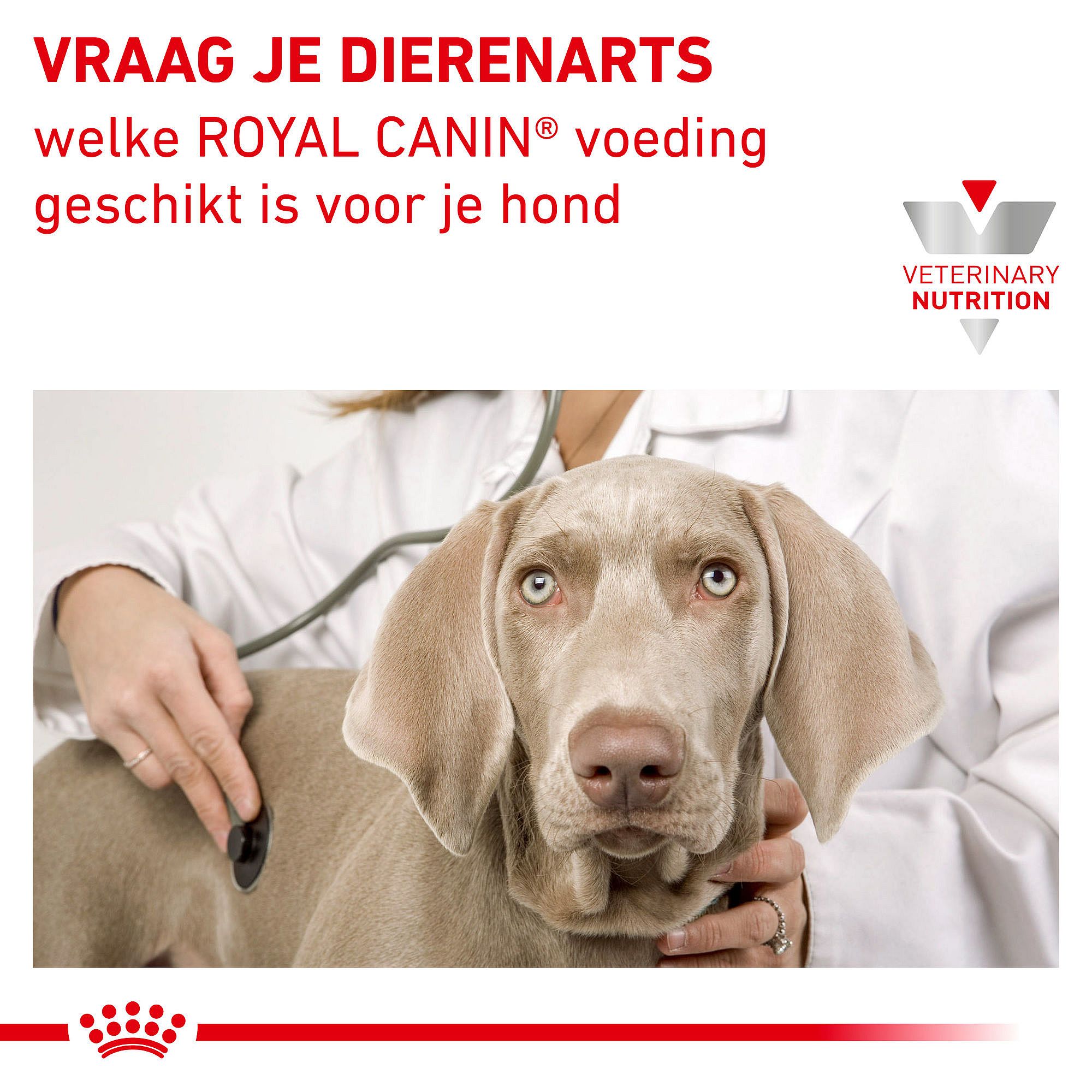 Royal Canin® Satiety - Hondenvoer voor volwassen honden met overgewicht.