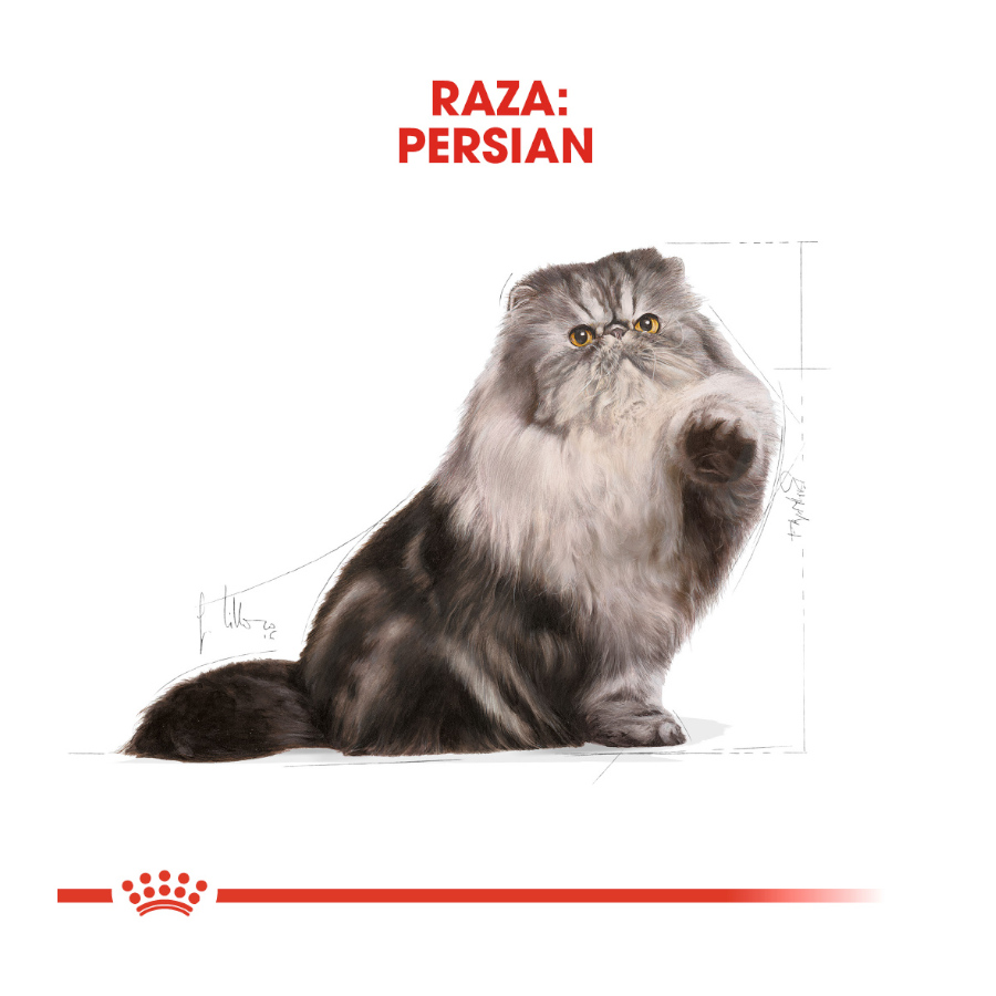 Ração Royal Canin Persian para gatos persas adultos.