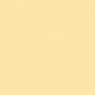 Cire acrylique Écru champagnois Murs d'autrefois 1,2Kg