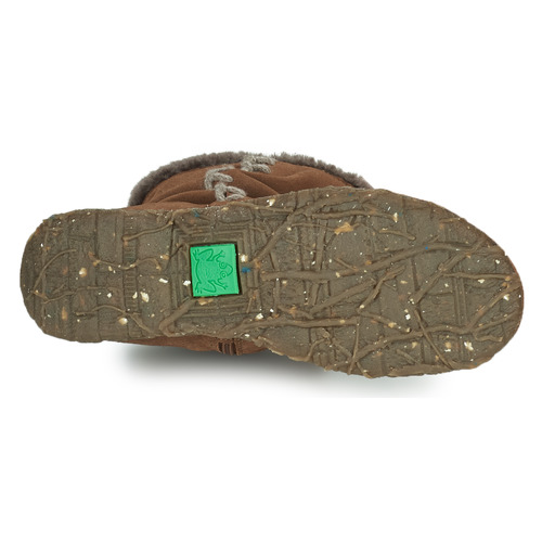 El Naturalista - ANGKOR - Marron