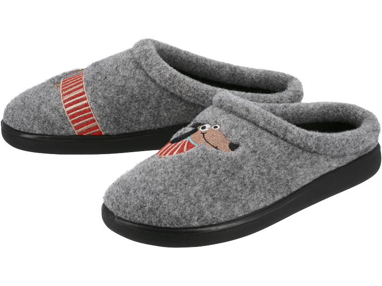 Dames pantoffels