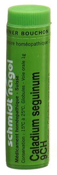 SCHMIDT-NAGEL Caladium seguinum Glob 9 CH 1 g
