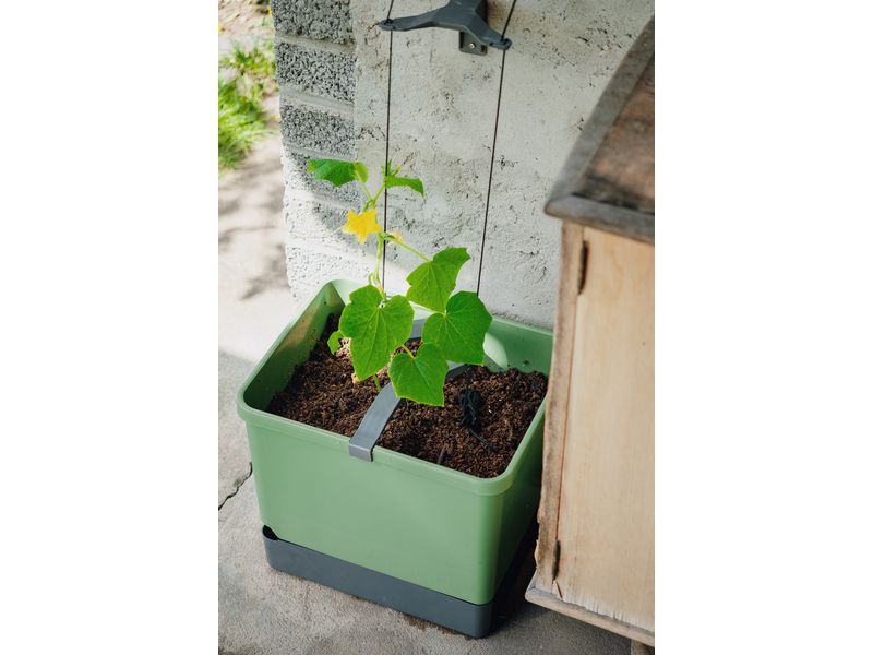 Gusta Garden CURT CUCUMBER Gurkentopf Grau Pflanzkübel mit Wassertank und Rankhilfe