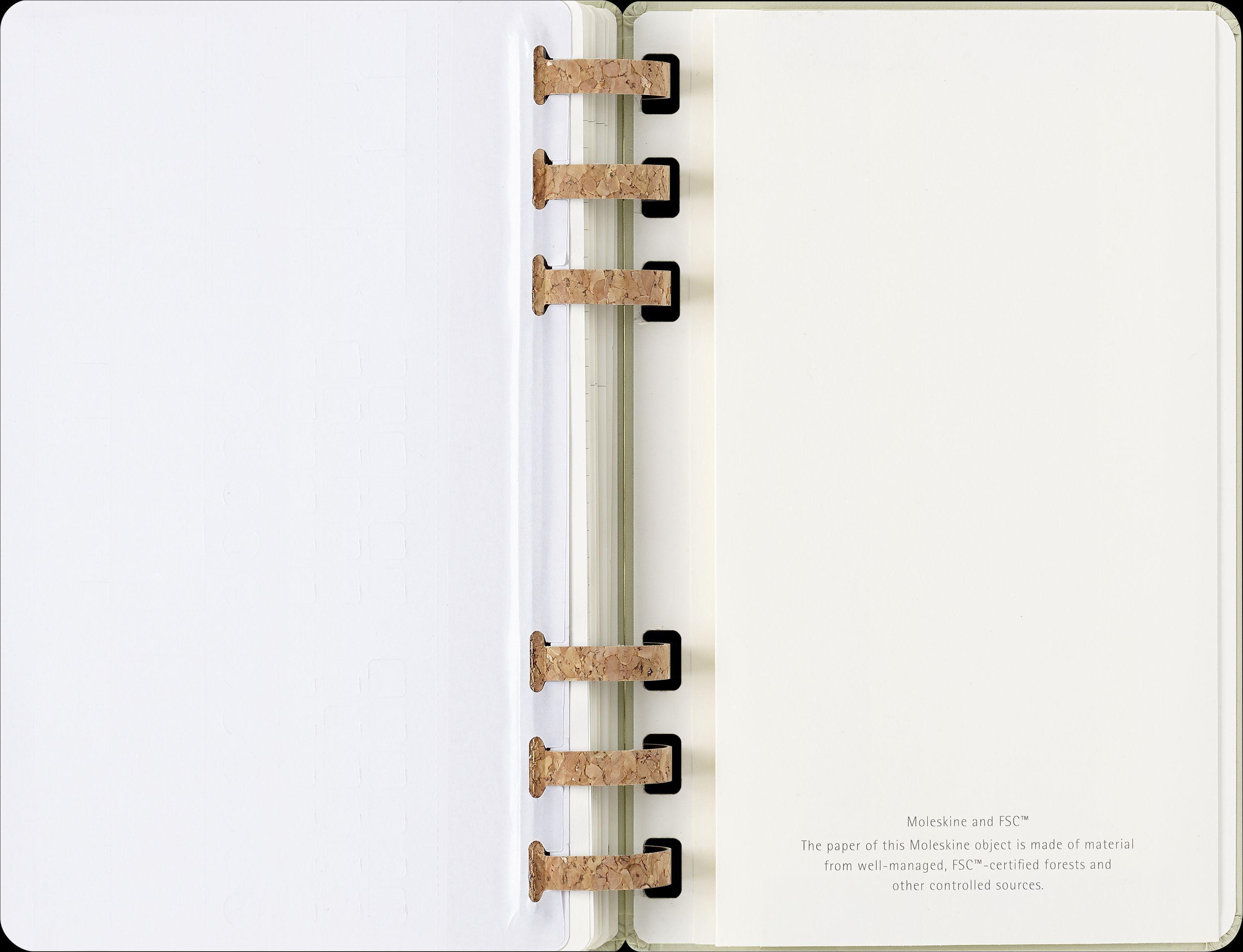 Moleskine 12 Monate Studienplaner mit Spiralbindung, L/A5