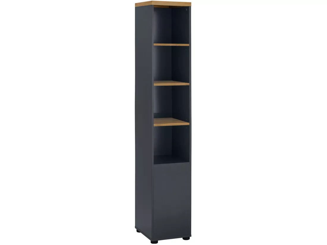 Armoire 1 porte et 3 étagères en MDF blanc et anthracite