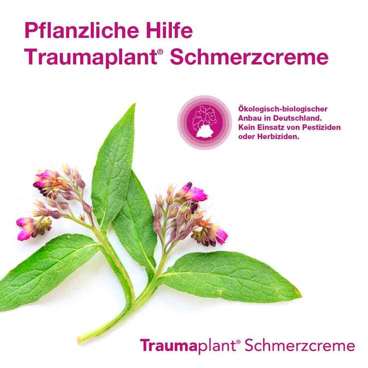 Traumaplant® Schmerzcreme, 100 g
