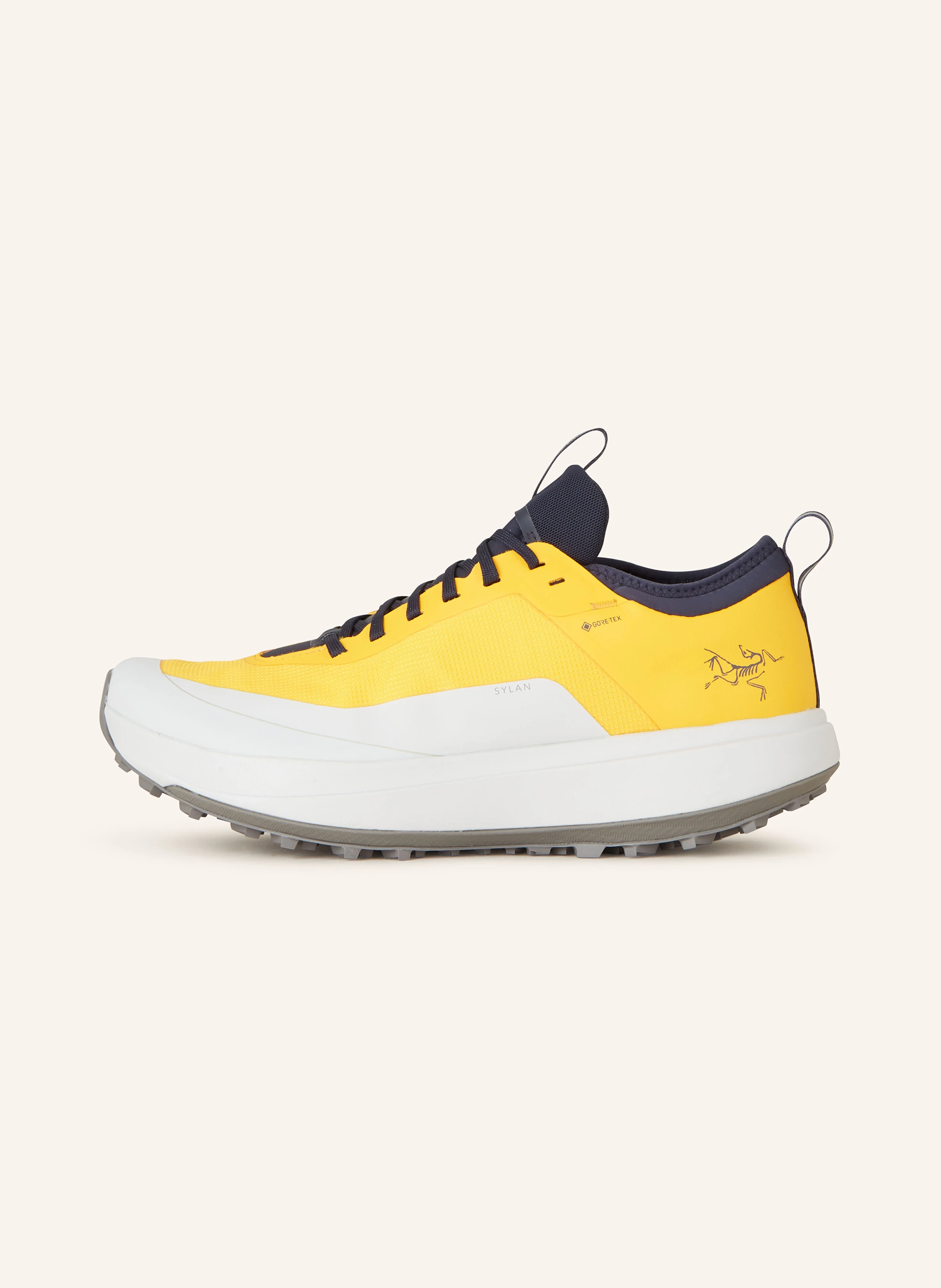 ARC'TERYX Trekkingschuhe SYLAN GTX