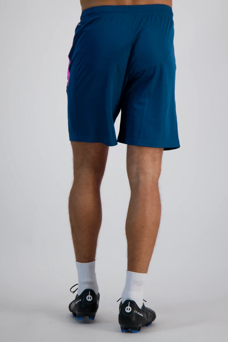 Puma teamLIGA 2 Herren Short