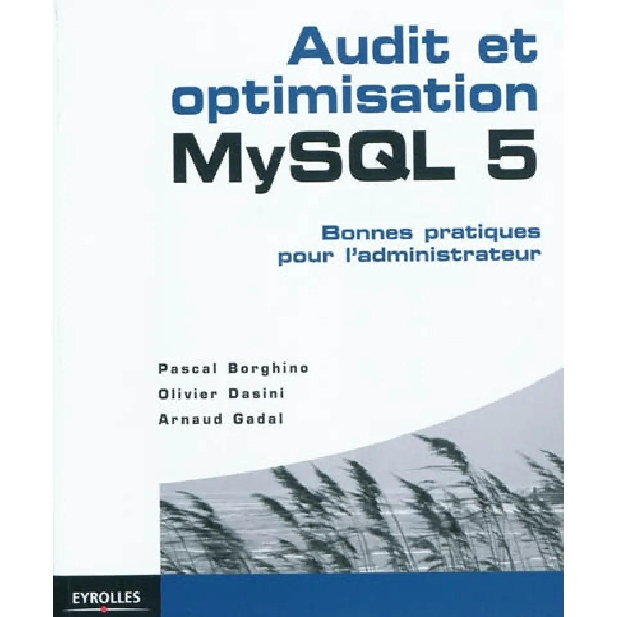 Audit et optimisation MySQL 5 : bonnes pratiques pour l'administrateur · Occasion