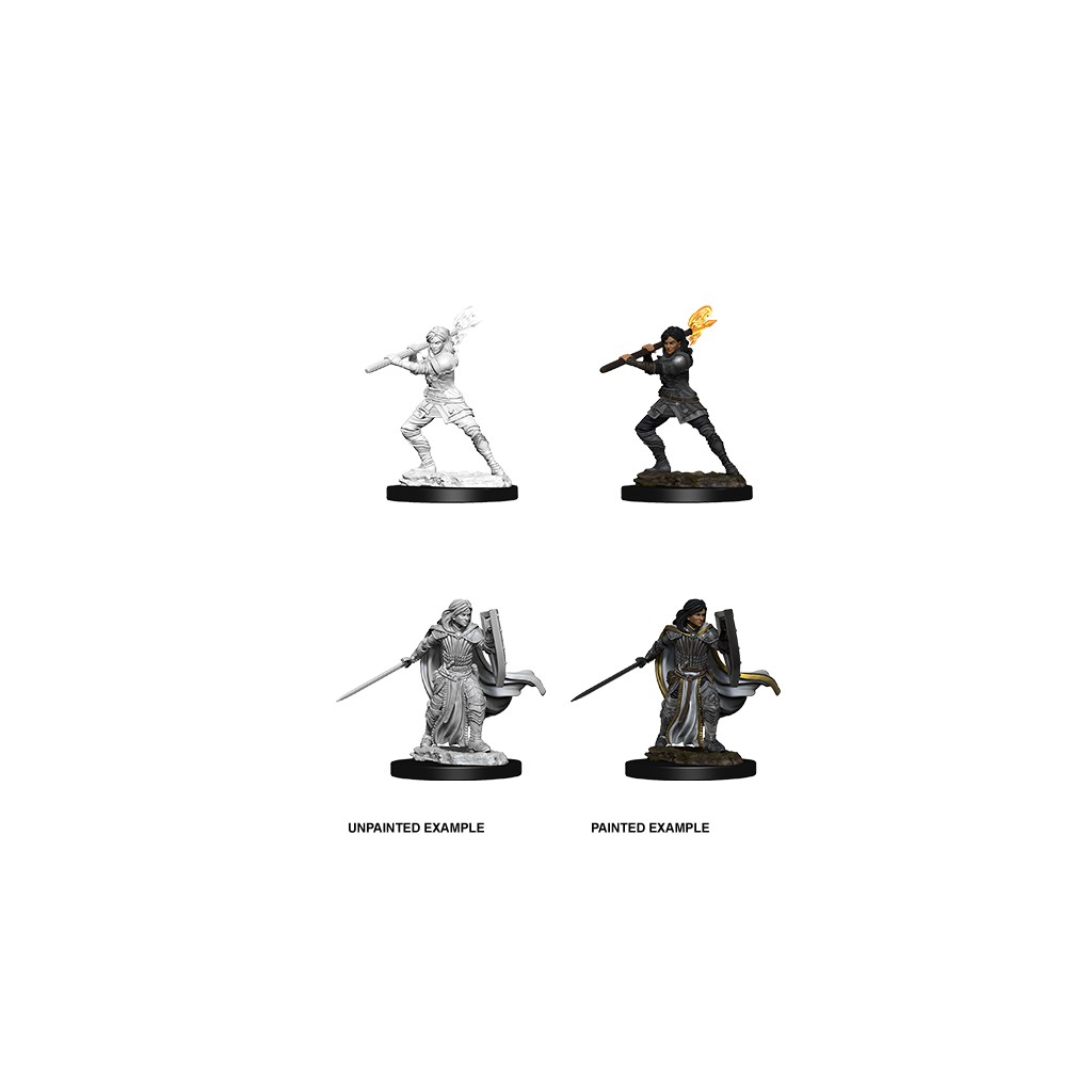 D&D Nolzur's Marvelous Unpainted Miniatures: Female Human Paladin