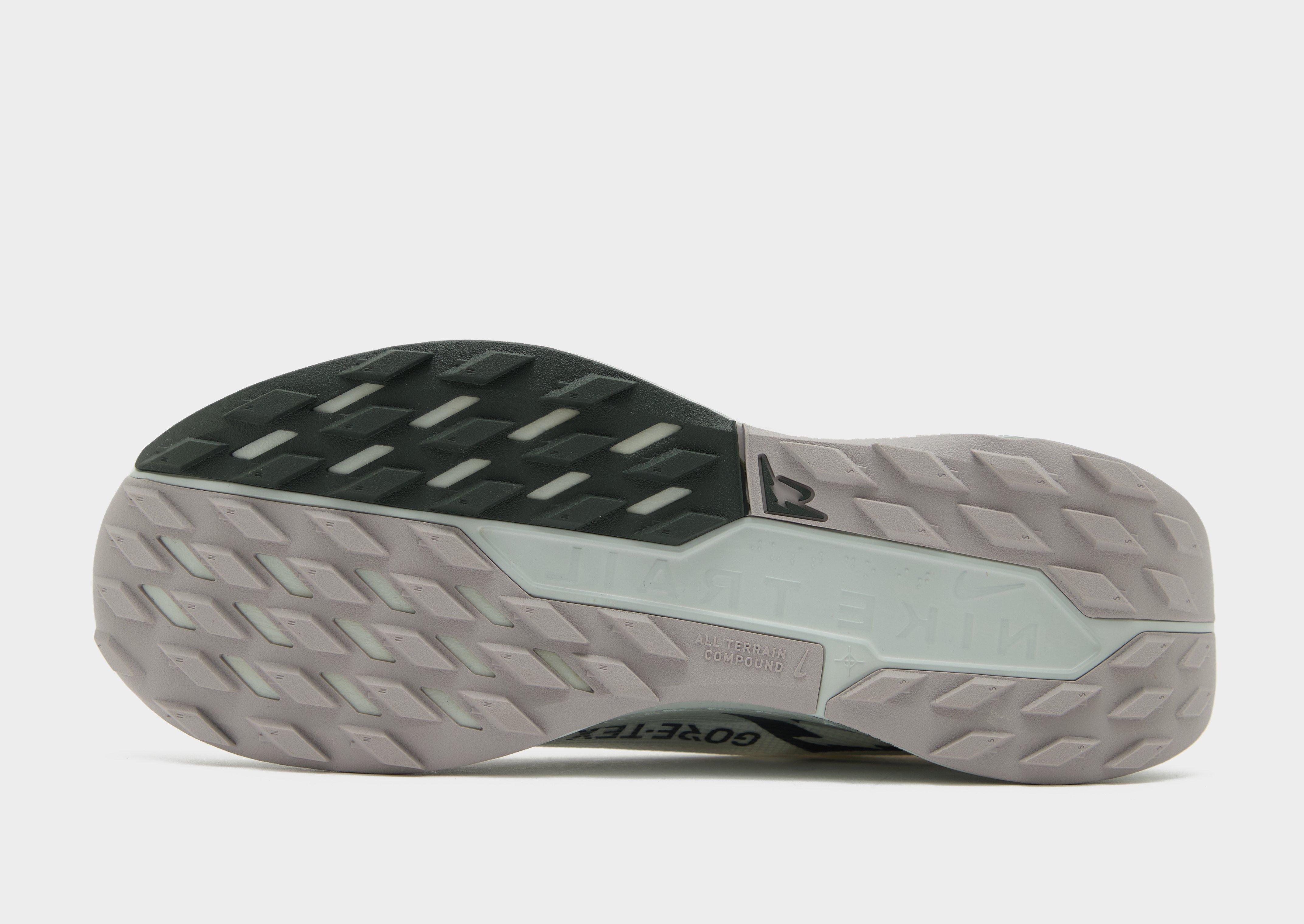 Nike Pegasus Trail 5 GORE-TEX Homme