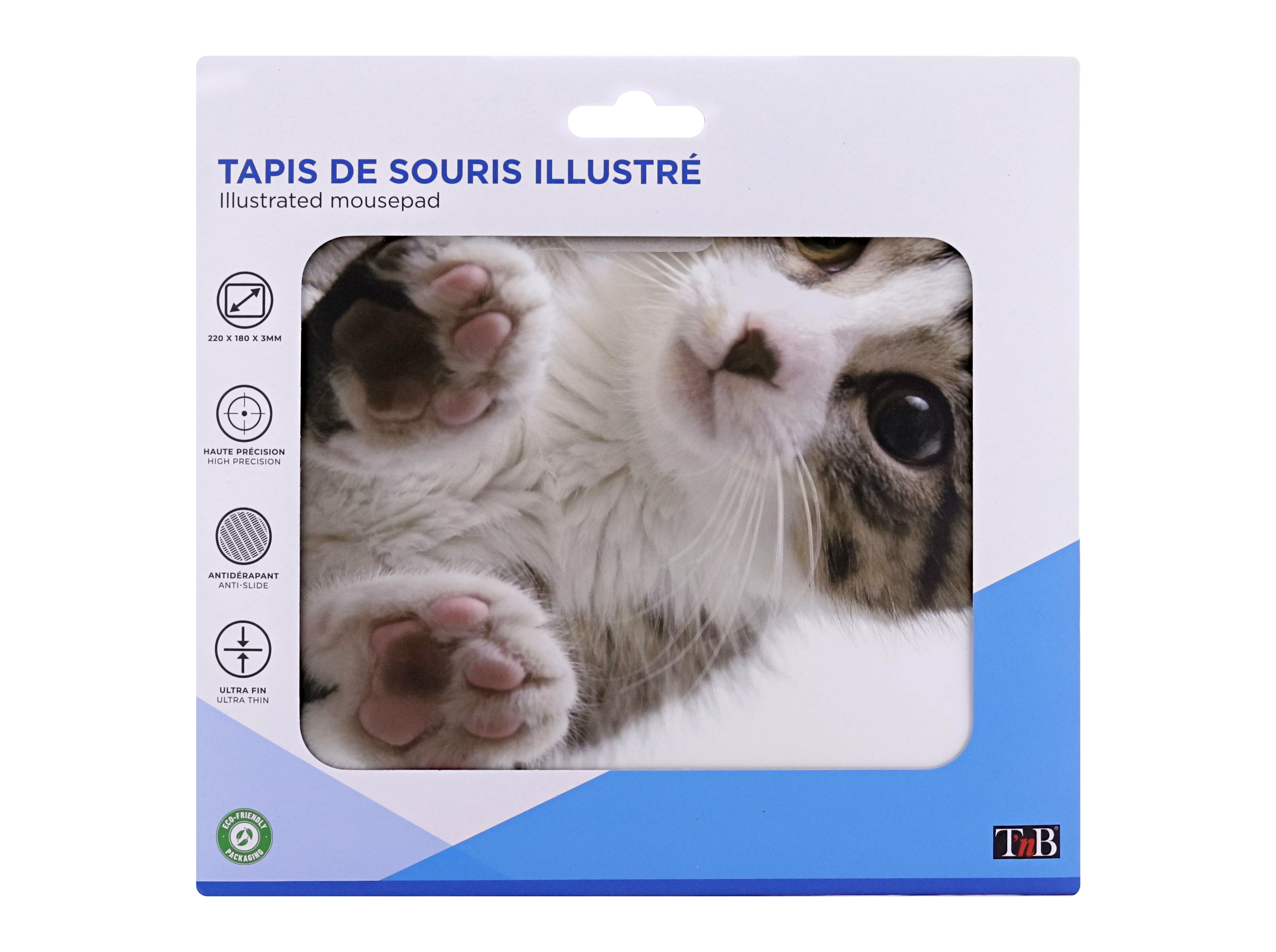 TAPETE RATO TNB TSKITTY 22X18