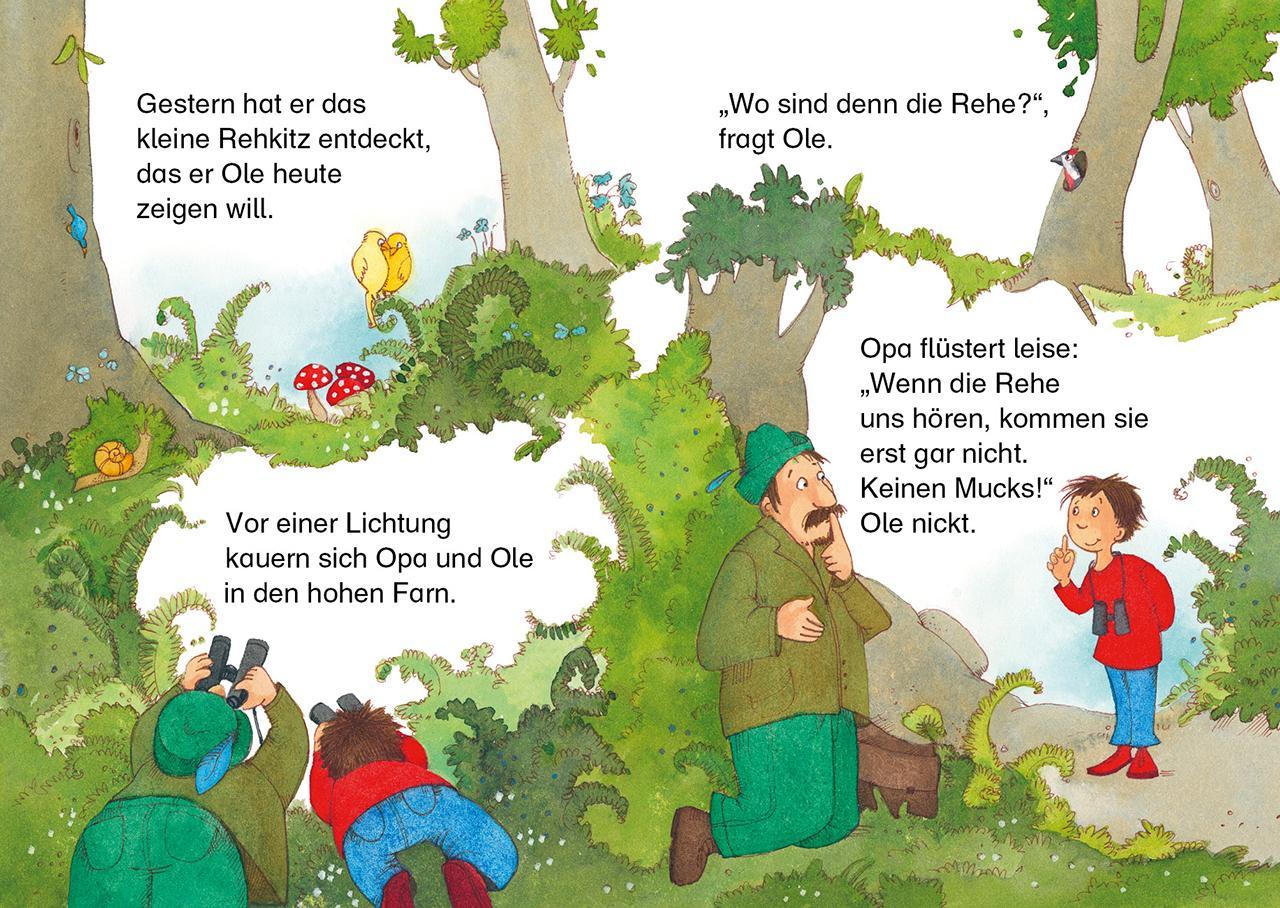 Leselöwen - Das Original - 7-Minuten-Geschichten zum Lesenlernen - Das Beste für Jungs