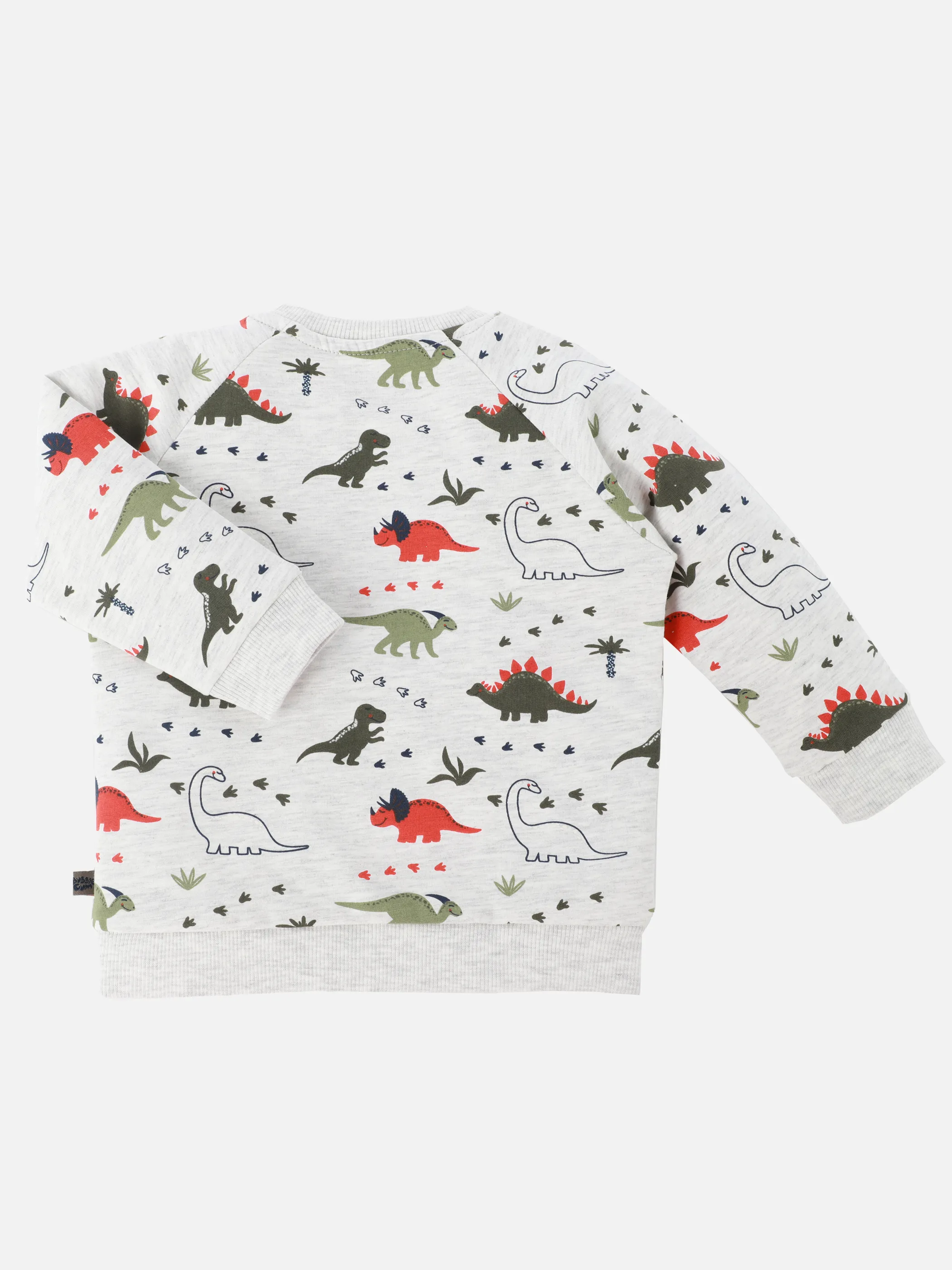 Baby Jungen Sweatshirt mit Dinoprint