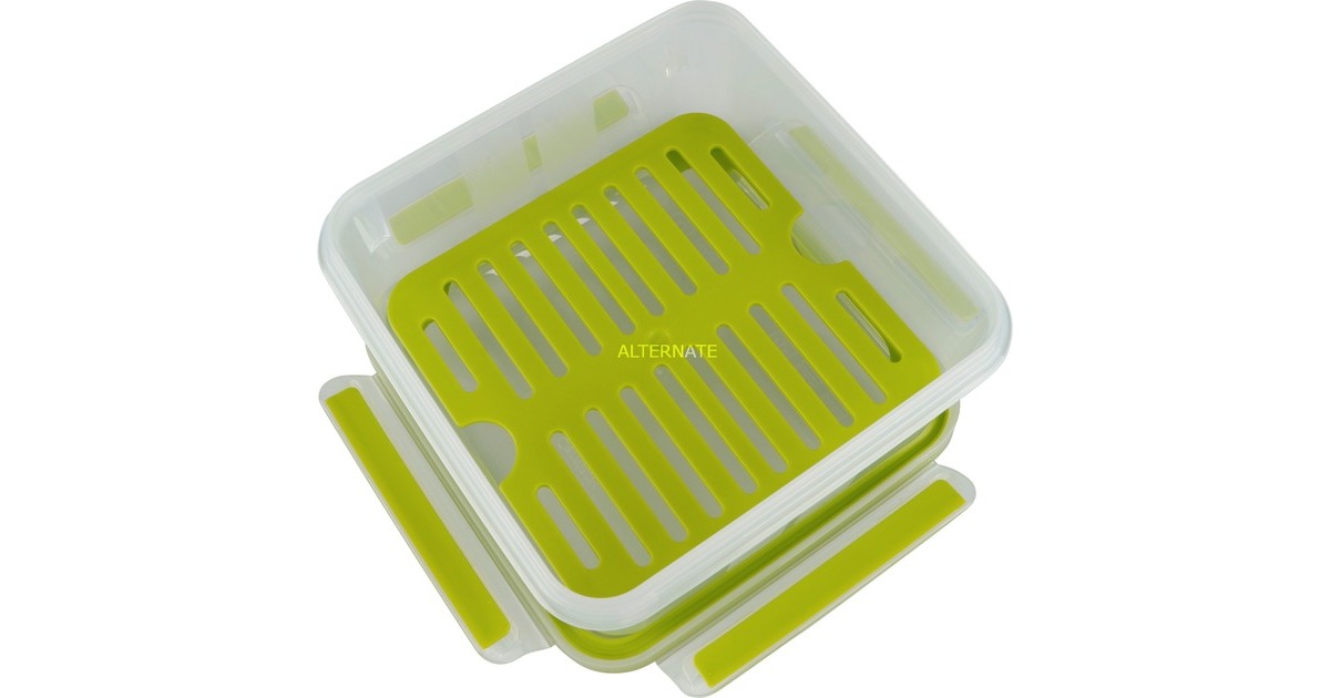 EmsaEmsa CLIP & GO Sandwichbox XL lunchbox  (Transparant/groen, 1,3 l, met roosterinzet voor 2e niveau)