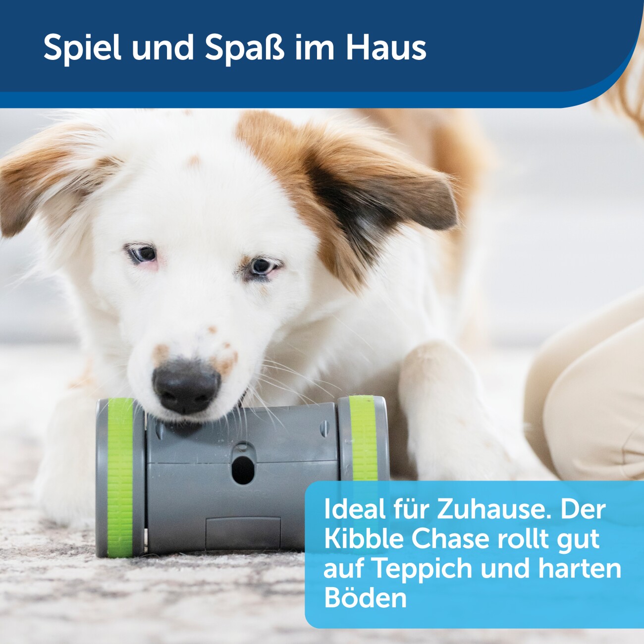 PetSafe Selbstbewegendes Belohnungsspielzeug Kibble Chase
