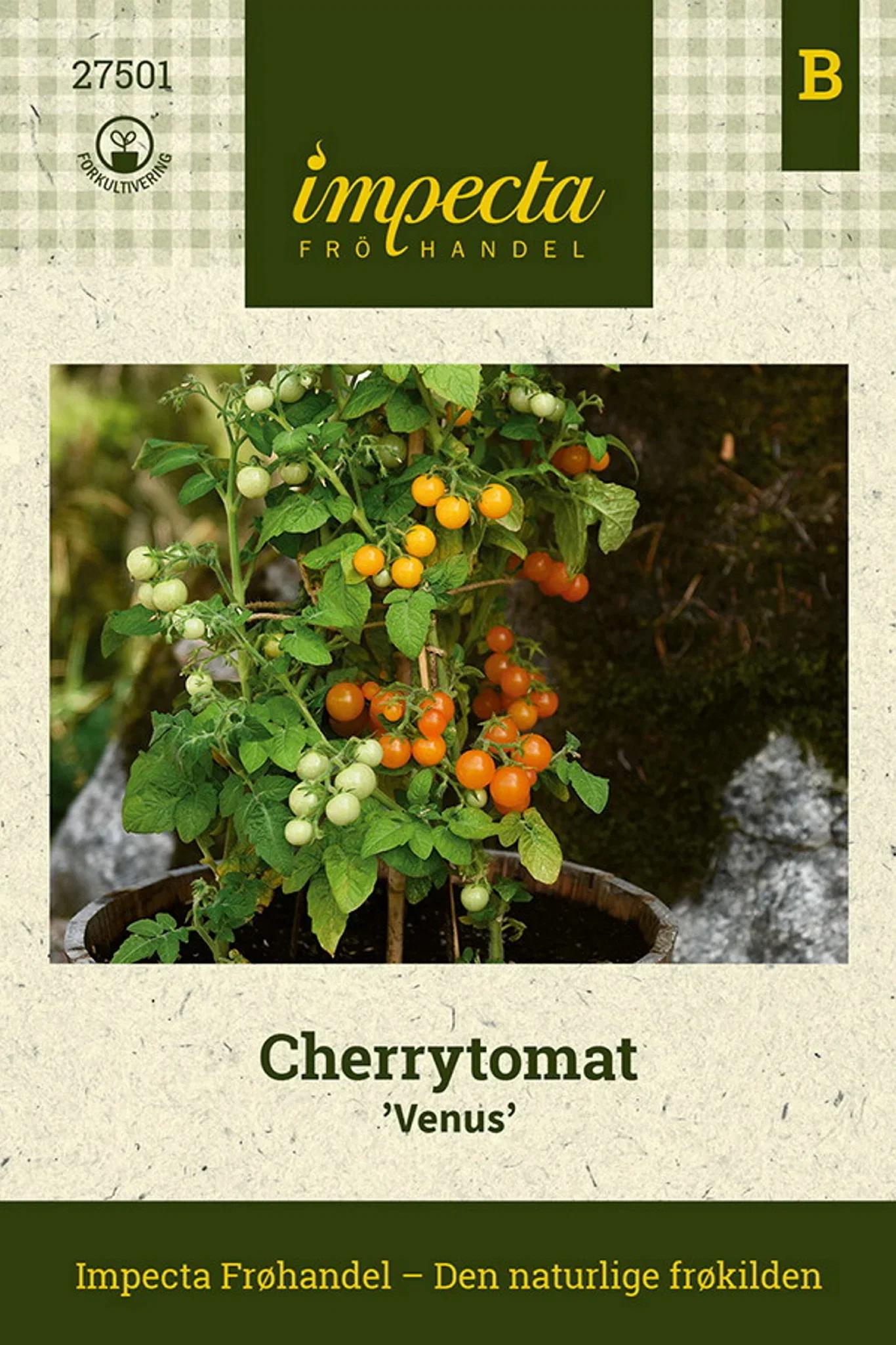 Solanum lycopersicum 'Venus' Cherrytomat 'Venus'