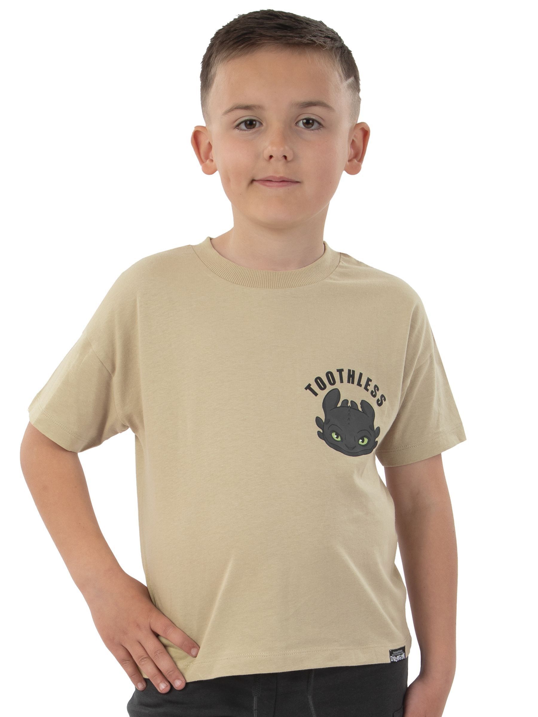 Character How To Train Your Dragon Print T-Shirt And Shorts Set