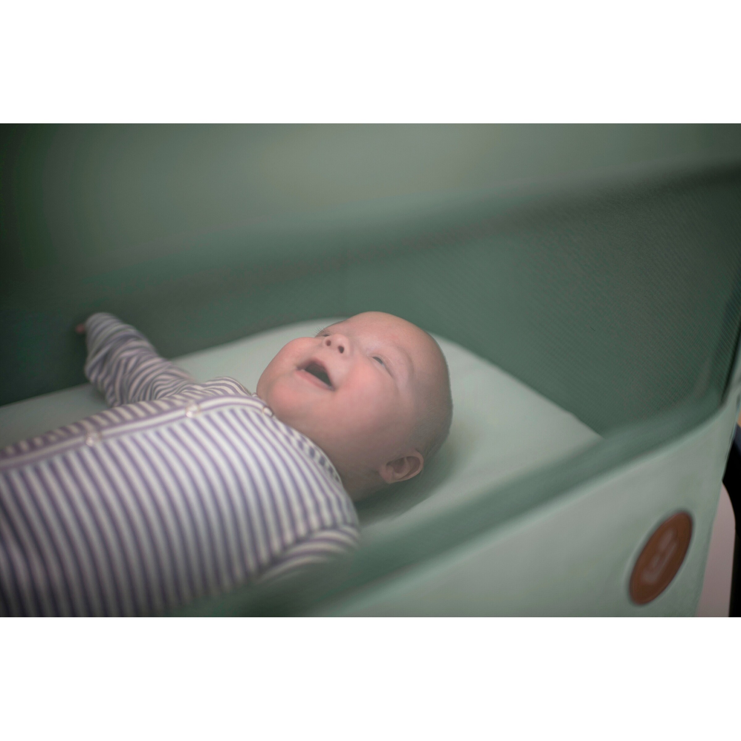 Maxi-Cosi Beistellbett Iora Beyond Green Eco
