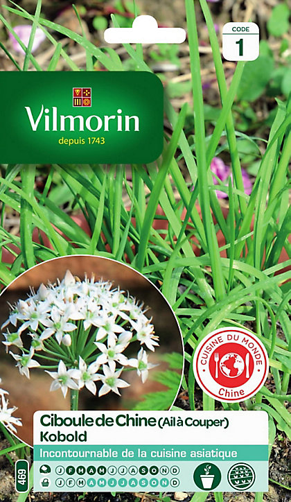 Graines Ciboule de Chine Kobold VL 1