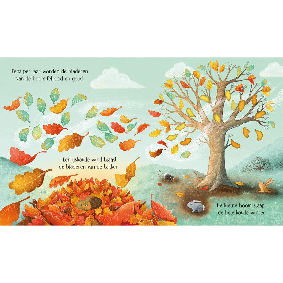 Uitgeverij usborne het leven van een kleine boom