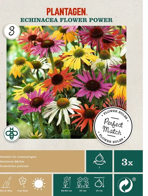 Plantagen Solhatt miks 3 pk