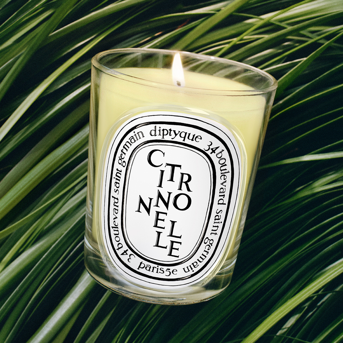Citronnelle Classic Candle 190gr
