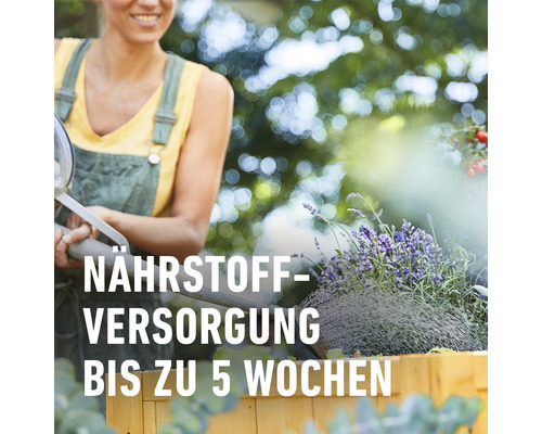 COMPO BIO Mini Verhoogde Bed- en Kasgrond 20 L 100% turfvrij