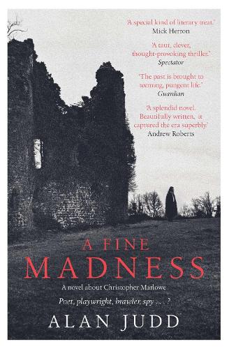 A Fine Madness: Sunday Times 'Historical Fiction Book of the Month' (Paperback)