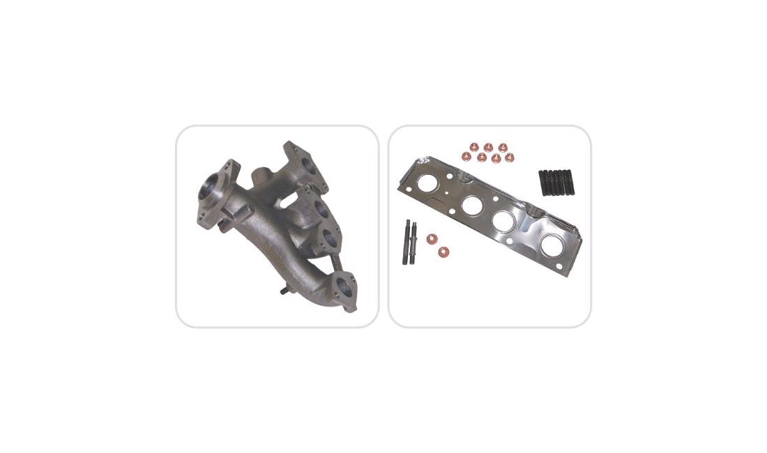 Manifold