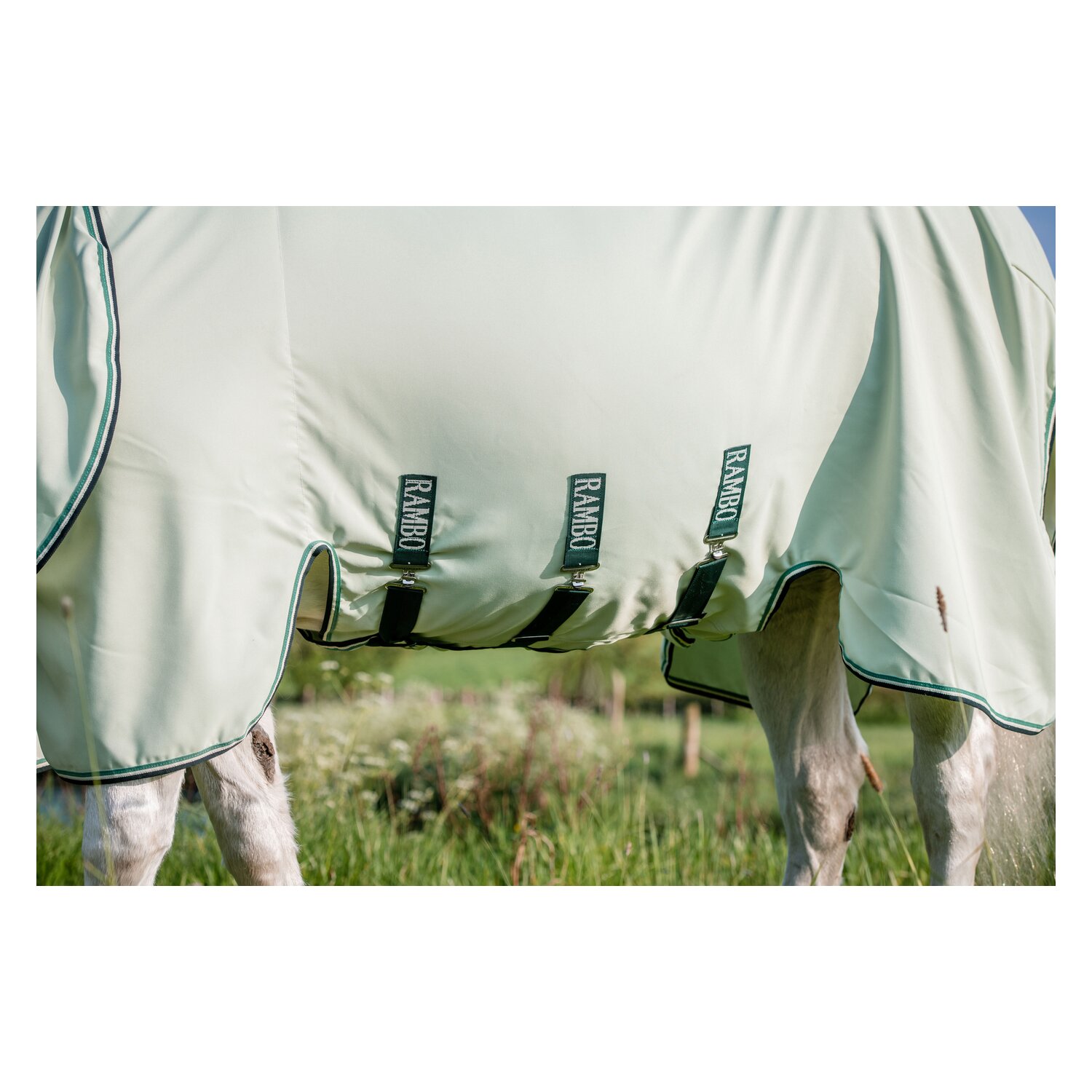 HORSEWARE Fliegendecke RAMBO Hoody XL  - green/sage