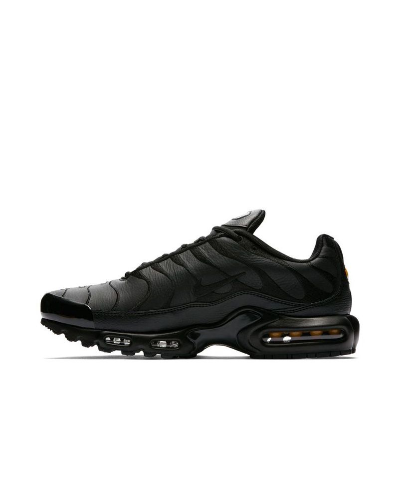 Chaussures Nike Air Max Plus pour homme