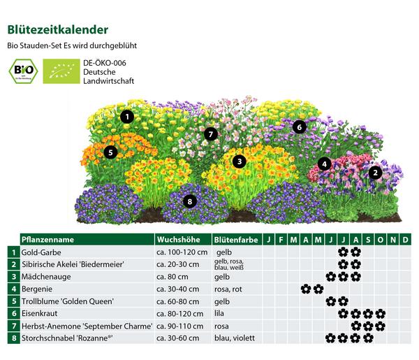 Bio Stauden-Set Es wird durchgeblüht,