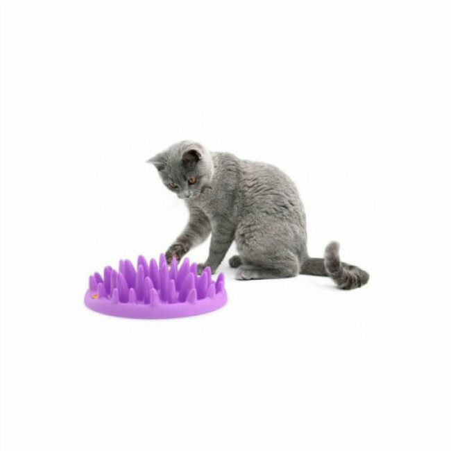 Gamelle CATCH anti-glouton pour chat