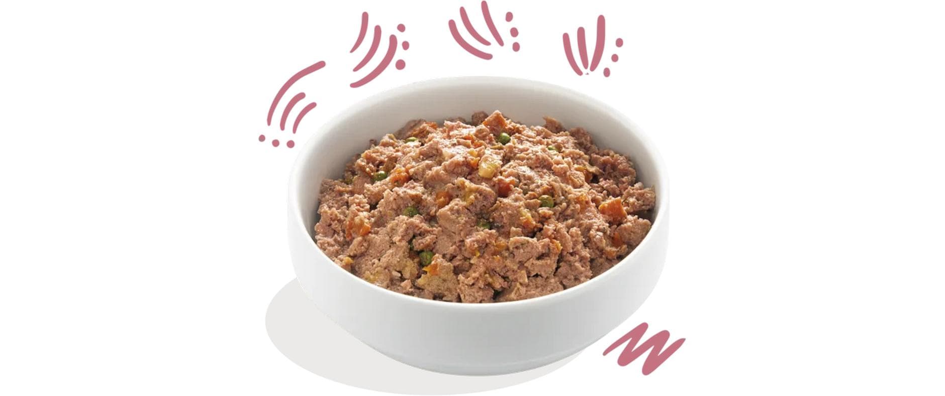 Nassfutter Junior Ente + Huhn, 11 x 150 gAlleinfuttermittel für Welpen