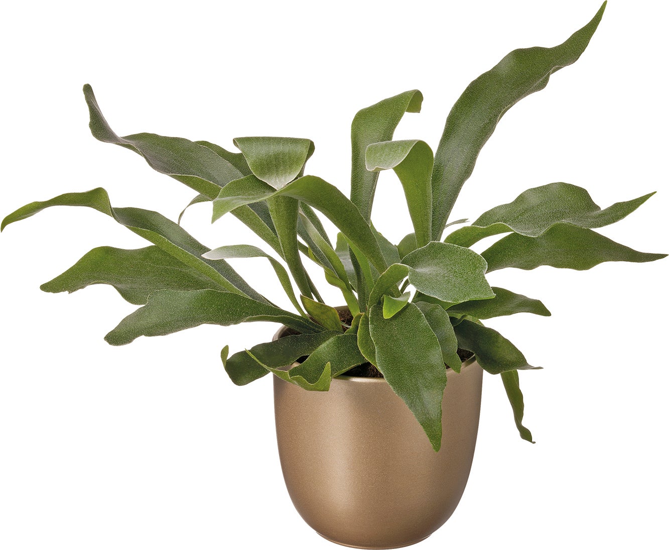 Pot Tusca D 17 H 16 cm goud