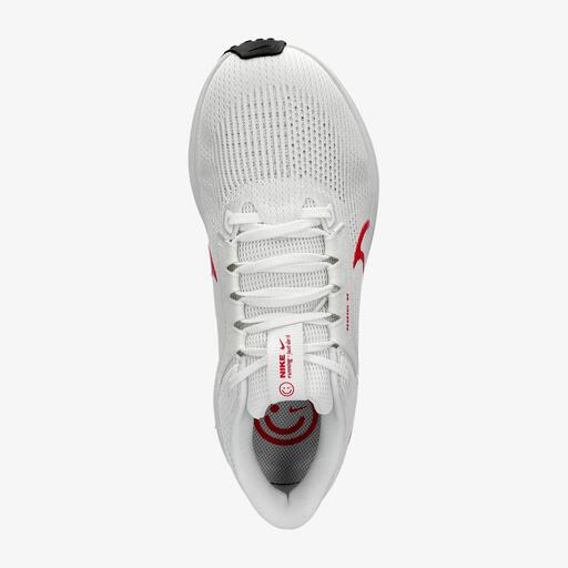 Nike Air Zoom Pegasus 40