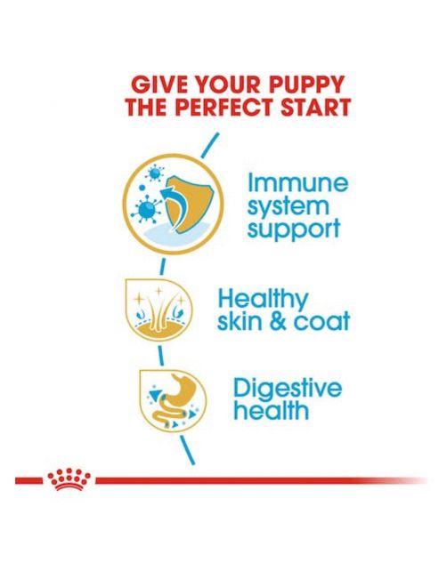 Royal Canin Cocker - Puppy-Hondenvoer - 3 kg