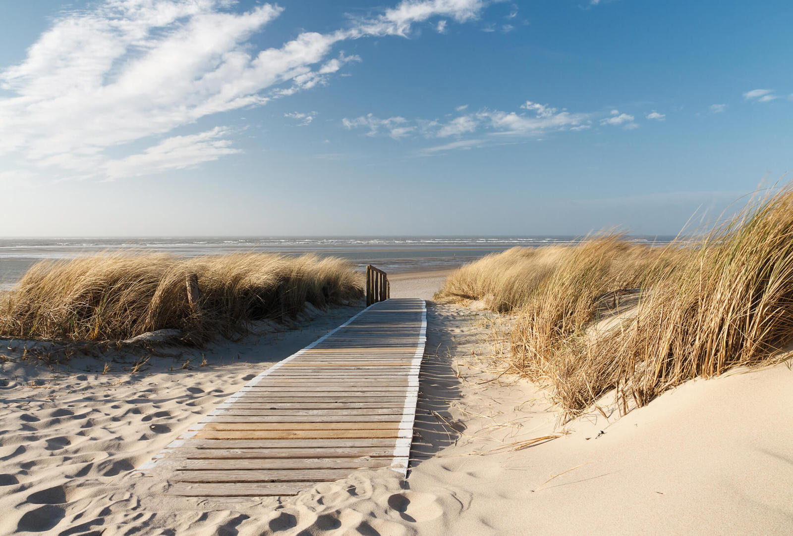 Fototapete DESIGNWALLS 2.0 - beige/creme-blau - Steg - 2,6 Meter