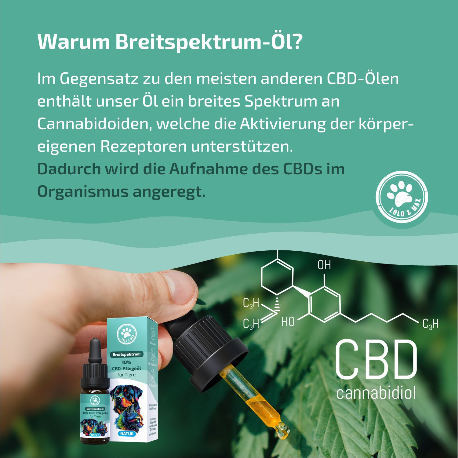 Lolo & Max - 10% CBD-Öl für Hunde & Katzen - Natur