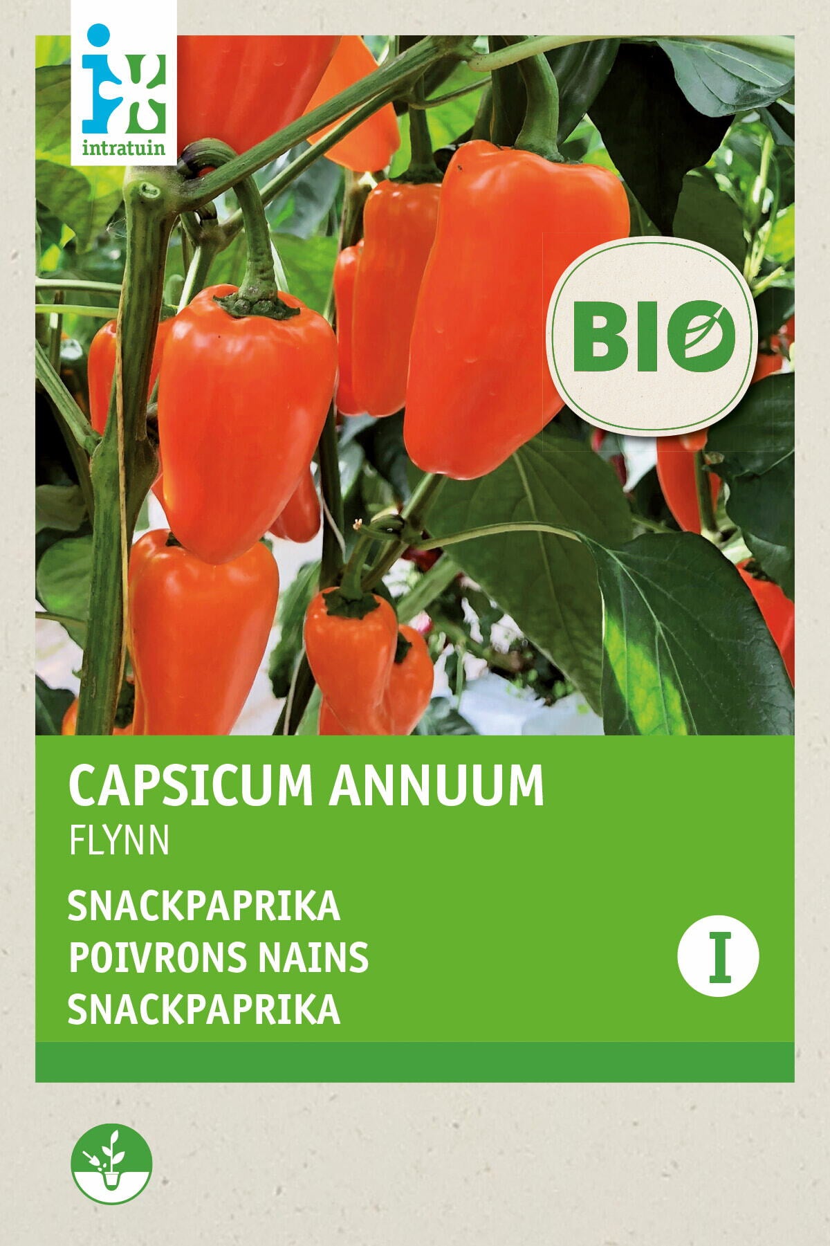 Intratuin Biologisch groentezaad Snack Paprika (Capsicum annuum 'Flyn oranje')