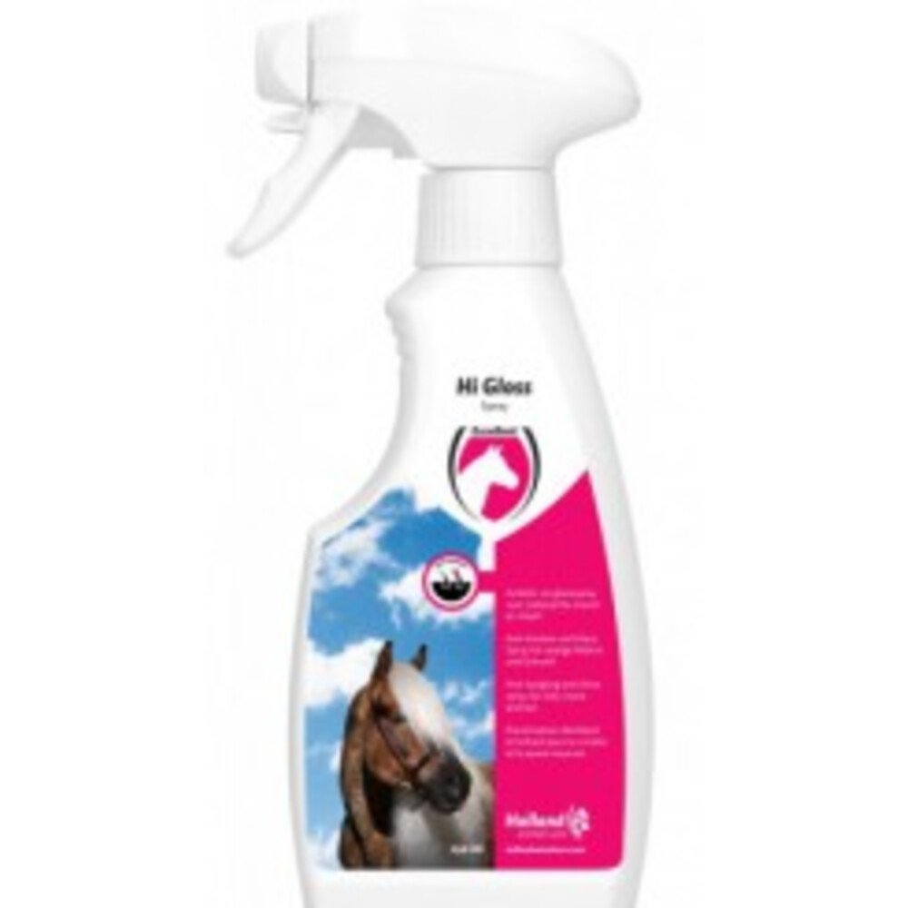 Excellent Hi Gloss Spray 250 ml