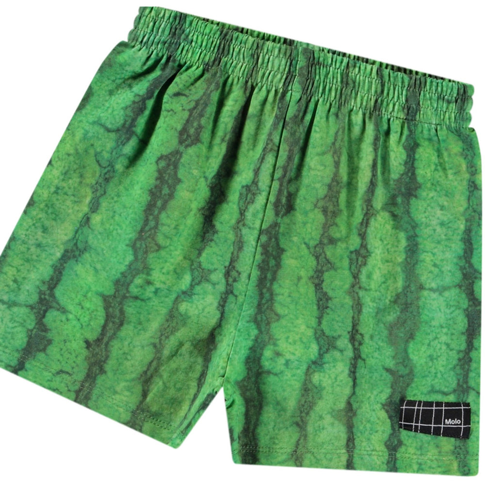 Køb Molo Melancia Suno Shorts