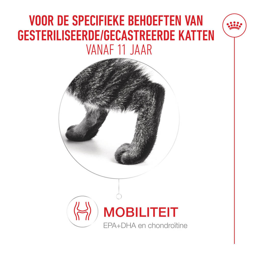 Royal Canin Ageing Steril 11  - Kattenvoer - 4 Kilogram