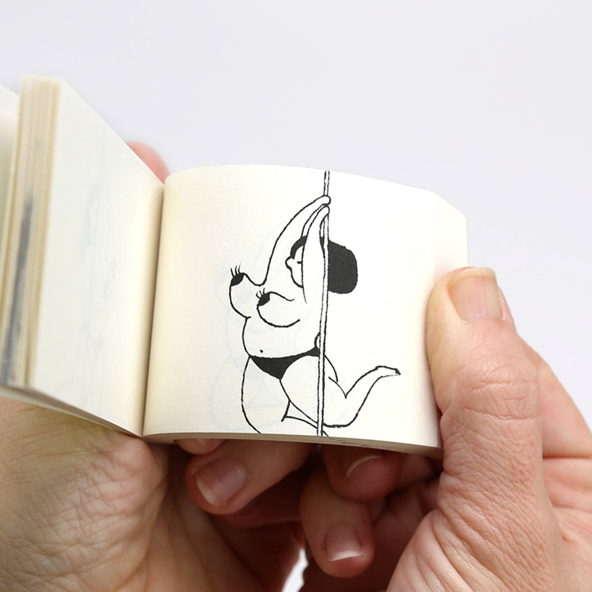 Flipbook Daumenkino 